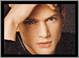 Wentworth Miller, szare oczy